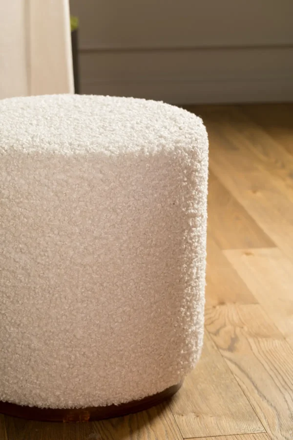 Cincilla ambiente 1