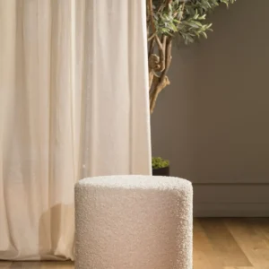 Cincilla ambiente 2